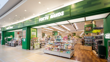 アクセーヌ 東急ハンズ